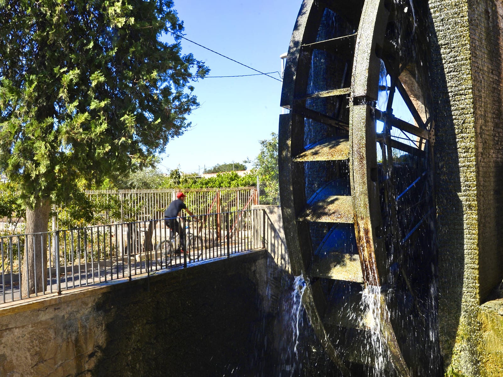 Traditional water wheel in the orchards of Murcia, Spain - Ayuntamiento de Murcia copie